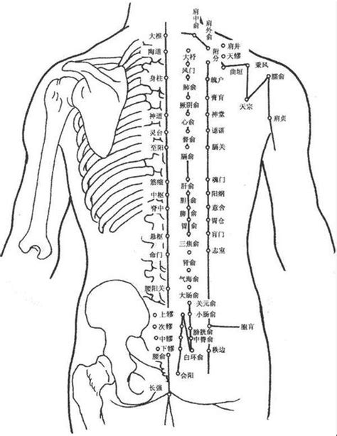 背部穴